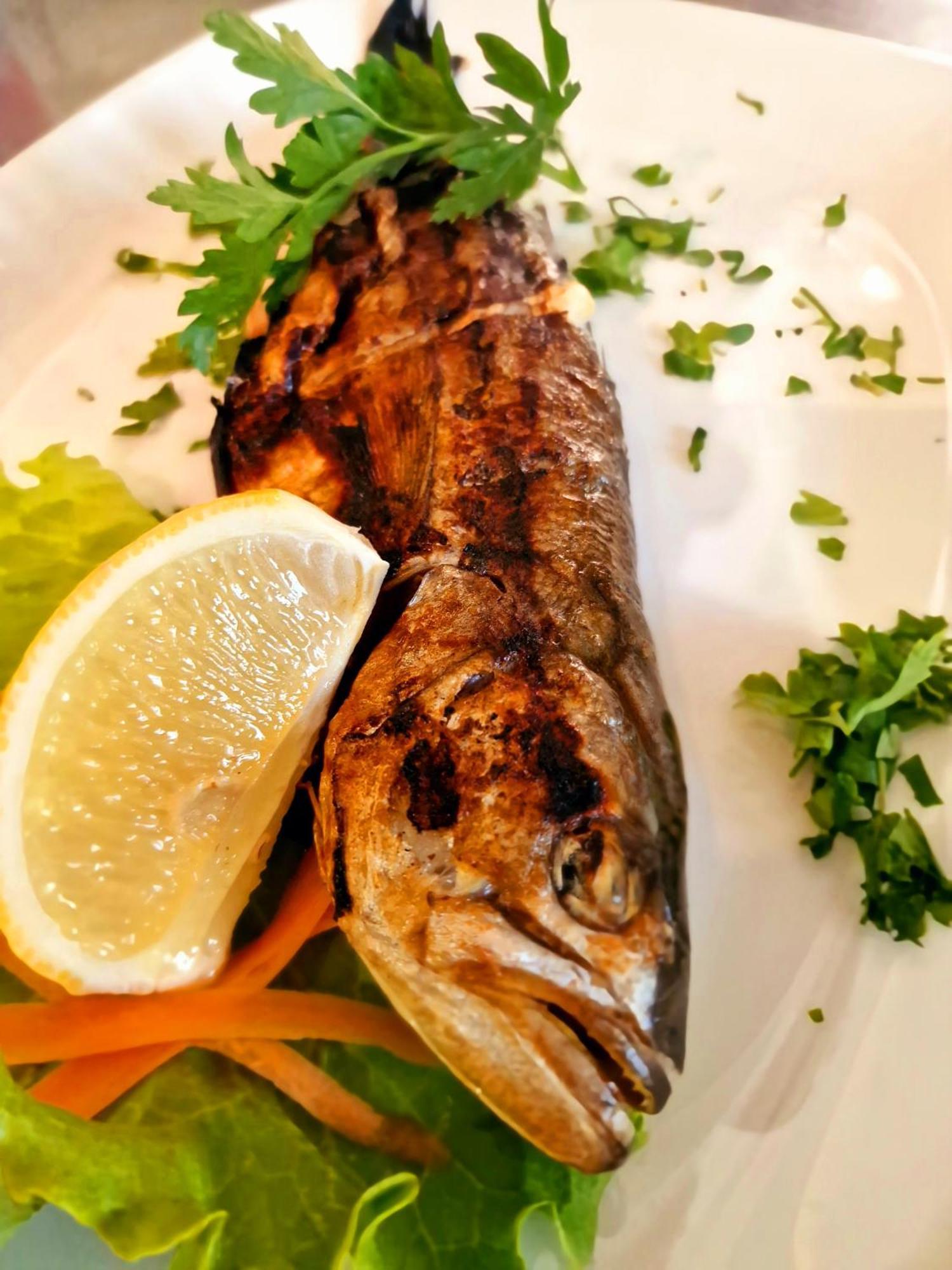 Family Hotel Four Seasons Tsarevo Εξωτερικό φωτογραφία