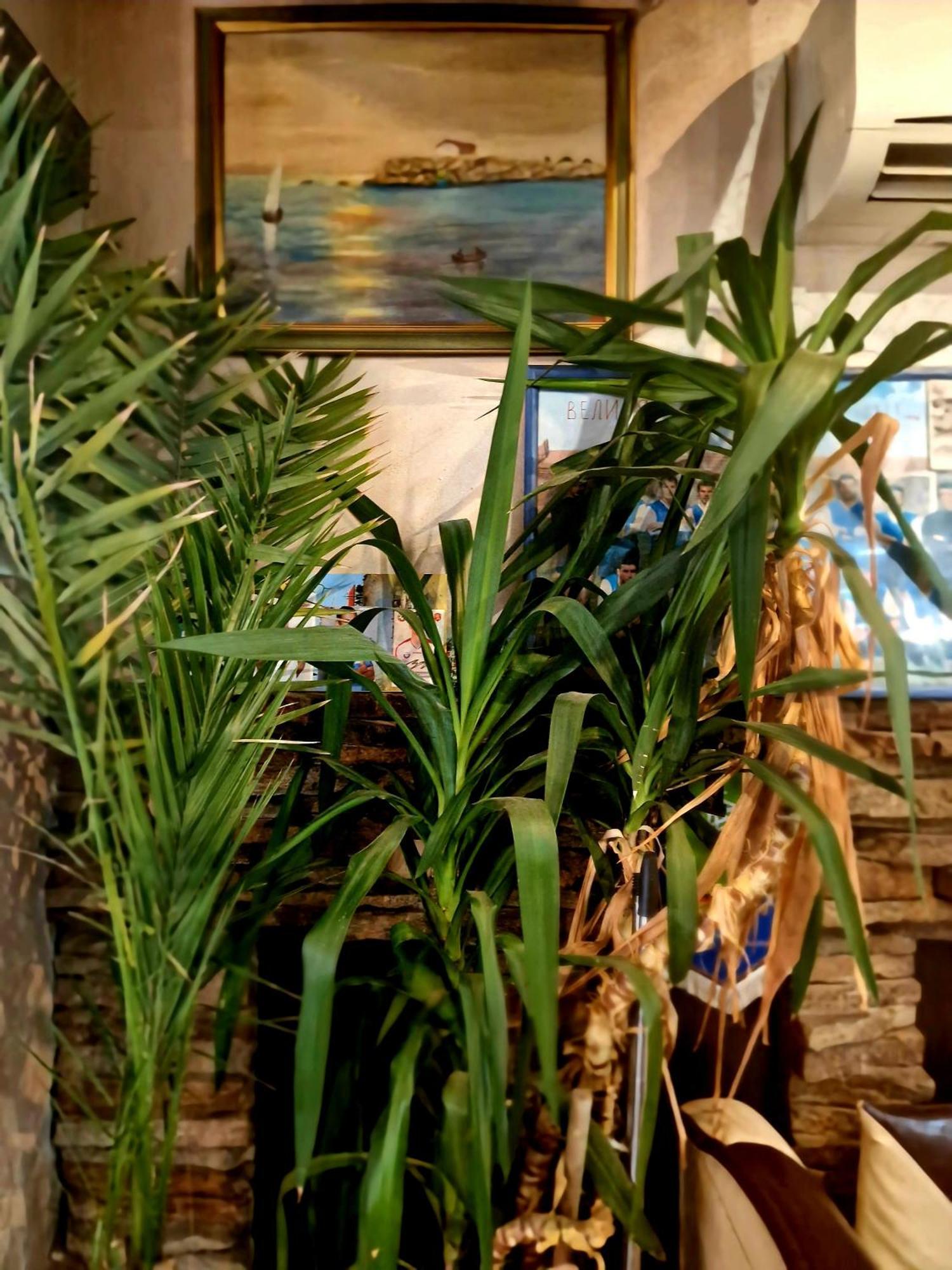 Family Hotel Four Seasons Tsarevo Εξωτερικό φωτογραφία